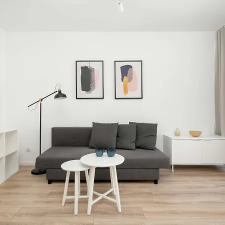 Stylish With Balcony Near Market By Renters Apartment